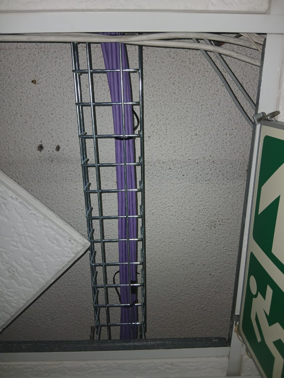 Gallery image 52