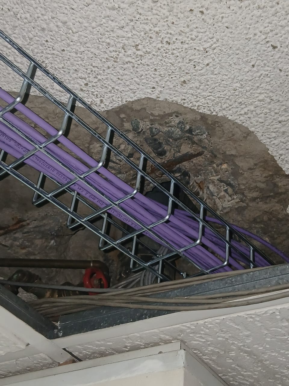 Gallery image 39