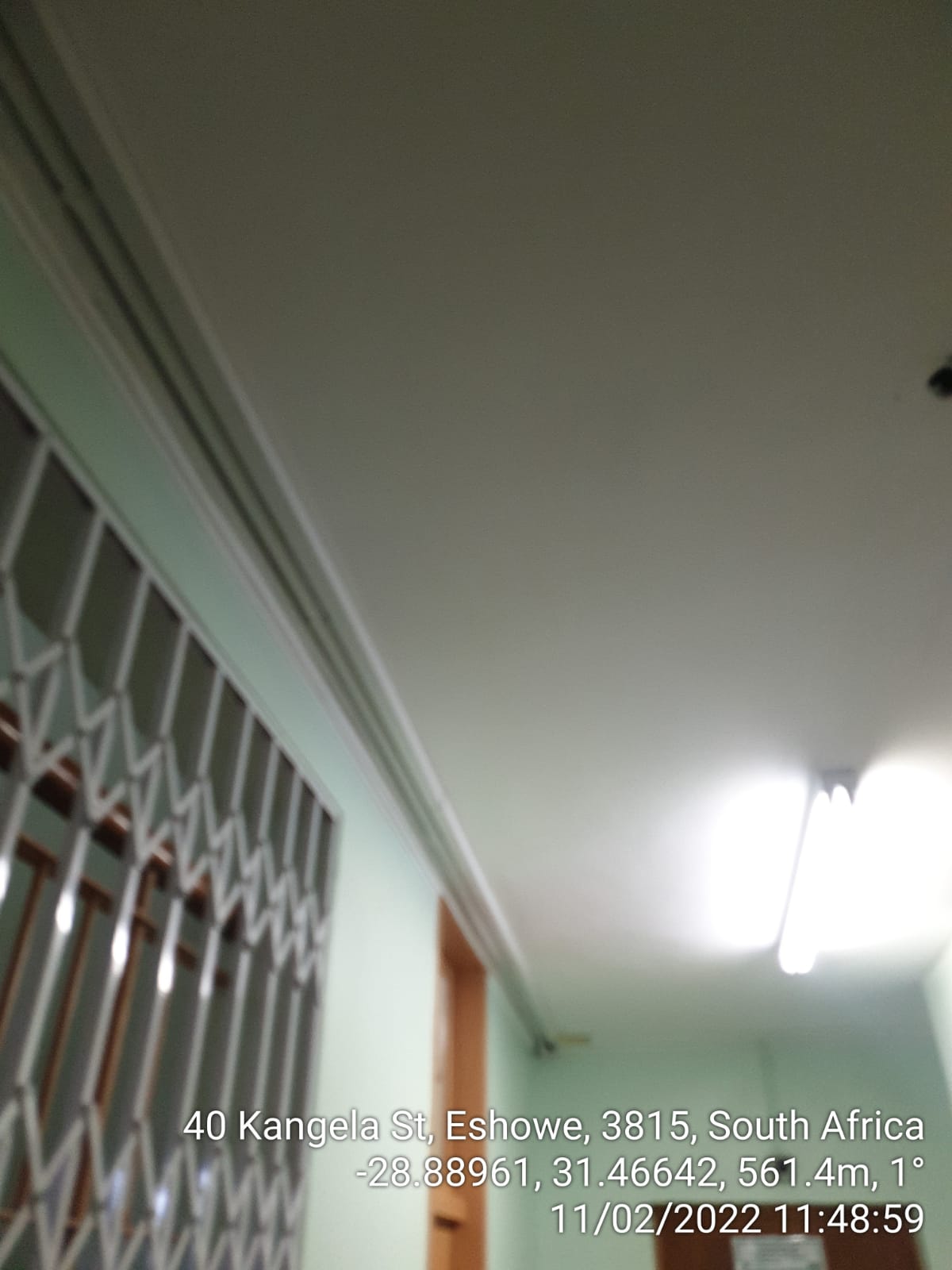 Gallery image 102